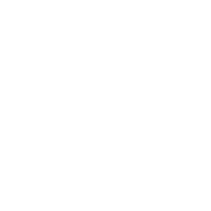Casserole ovale Olympia avec couvercle 262x188x155 (par pc)